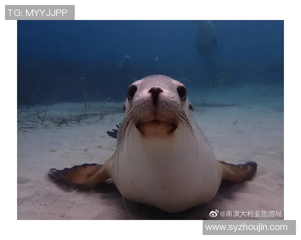 足球明星大头宝宝图片展现可爱与魅力的完美结合,球场外的萌趣瞬间 足球明星大头宝宝图片展现可爱与魅力的完美结合,球场外的萌趣瞬间