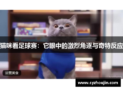 猫咪看足球赛：它眼中的激烈角逐与奇特反应