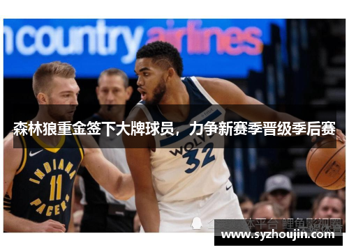 森林狼重金签下大牌球员，力争新赛季晋级季后赛