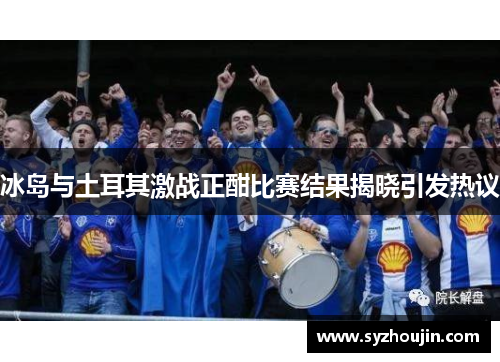 冰岛与土耳其激战正酣比赛结果揭晓引发热议